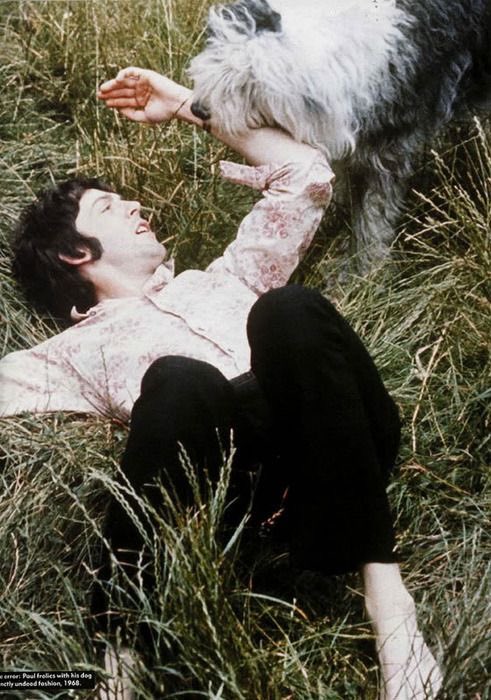 paul mccartney with various animals, a thread 