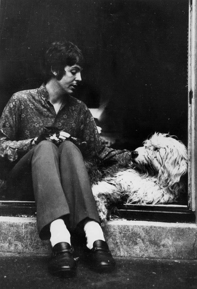 paul mccartney with various animals, a thread 