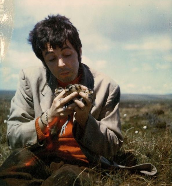 paul mccartney with various animals, a thread 