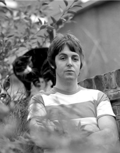 paul mccartney with various animals, a thread 