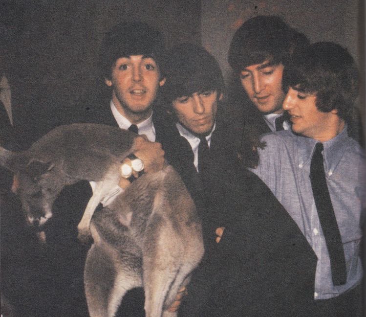 paul mccartney with various animals, a thread 