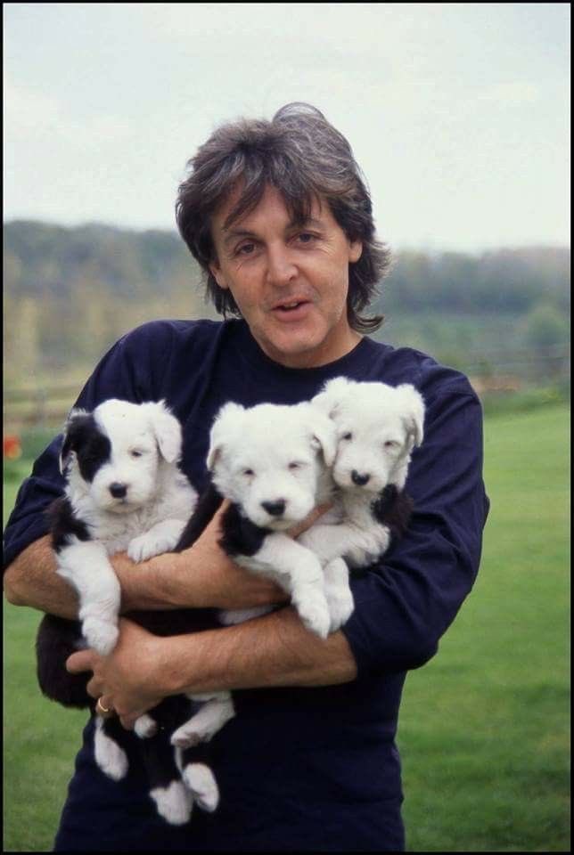 paul mccartney with various animals, a thread 