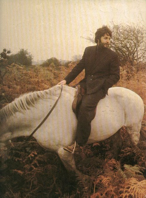 paul mccartney with various animals, a thread 