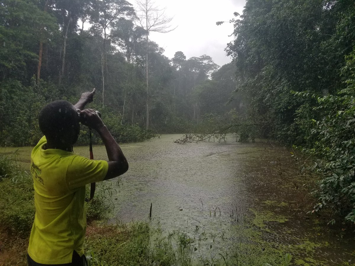 Great experience to be part of the #bigbirdingday with <a href="/NatureUganda/">NatureUganda</a> #birdingInTheNewNormal
Thats what defines the pearl of Africa
<a href="/MourineAsiimwe/">Asiimwe Mourine</a> <a href="/KigoziMaggie/">Maggie Kigozi</a> <a href="/nbstv/">NBS Television</a> <a href="/GPDSA_Africa/">Global Peace & Development Service Alliance</a>