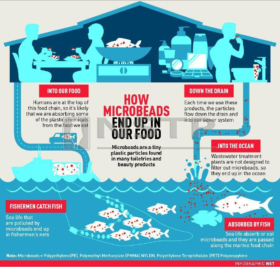 Instead of polyehylene (PE) microbeads, Skin Smoothie guna plant-based materials. This a major pluspoint for me sebab PE tak environmental friendly more info on these graphics and links: 1.  http://www.beachapedia.org/Microbeads&nbsp;2.  https://www.nst.com.my/news/nation/2018/10/418079/danger-posed-microbeads
