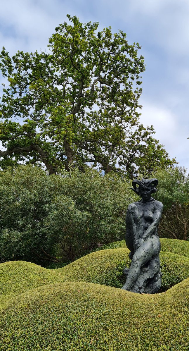 CanExplore's tweet image. Captivating early morning walk through the 📍Dylan Lewis Sculpture Garden with @WP_Lombard 

A beautiful blend of art and nature and imagination 😍 
#exploremore #CapeTown