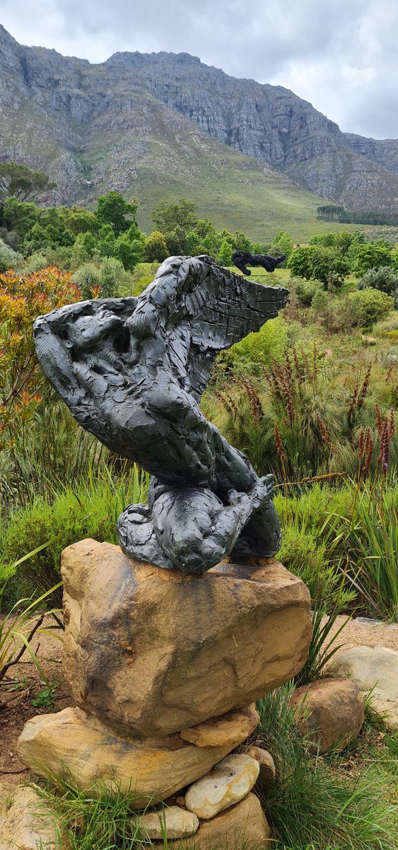 CanExplore's tweet image. Captivating early morning walk through the 📍Dylan Lewis Sculpture Garden with @WP_Lombard 

A beautiful blend of art and nature and imagination 😍 
#exploremore #CapeTown