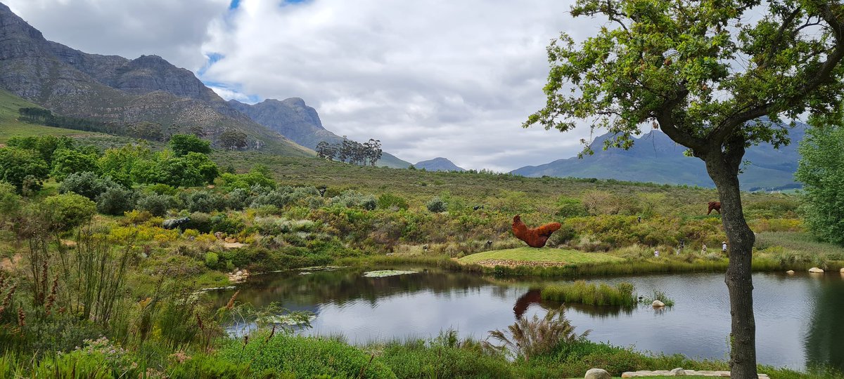 CanExplore's tweet image. Captivating early morning walk through the 📍Dylan Lewis Sculpture Garden with @WP_Lombard 

A beautiful blend of art and nature and imagination 😍 
#exploremore #CapeTown
