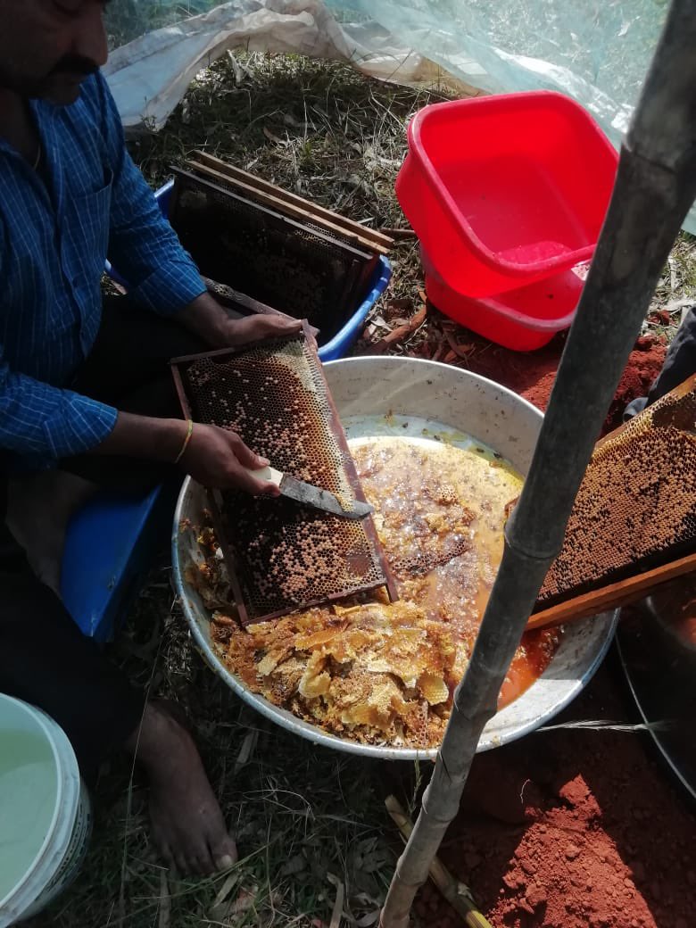 thinkpeace_org's tweet photo. Our People from Chillaramamidi valasa and sainagar village shows the way to collect honey. 

#Thinkpeace #HoneyCollecting https://t.co/iOvmwhRbUV