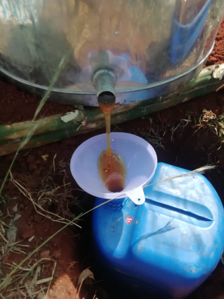 thinkpeace_org's tweet photo. Our People from Chillaramamidi valasa and sainagar village shows the way to collect honey. 

#Thinkpeace #HoneyCollecting https://t.co/iOvmwhRbUV