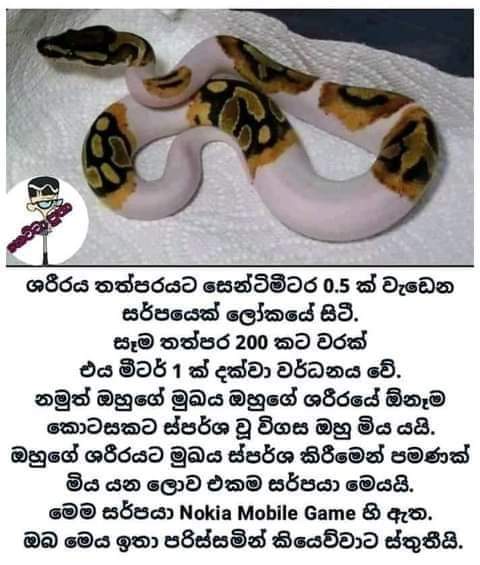 mashiindulaa10's tweet photo. https://t.co/qbtmXl9Y0c