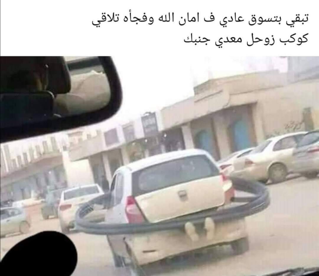 breakingfkhad's tweet photo. في جثة في شنطة العربية https://t.co/j7nekeFI2I