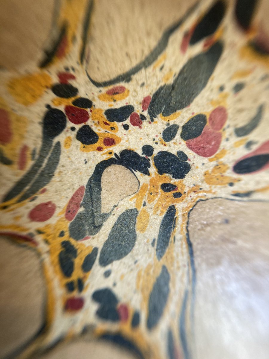 librerialosargonauta (@librerialosargo) on Twitter photo 