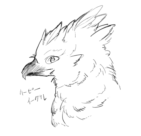 らくがき 