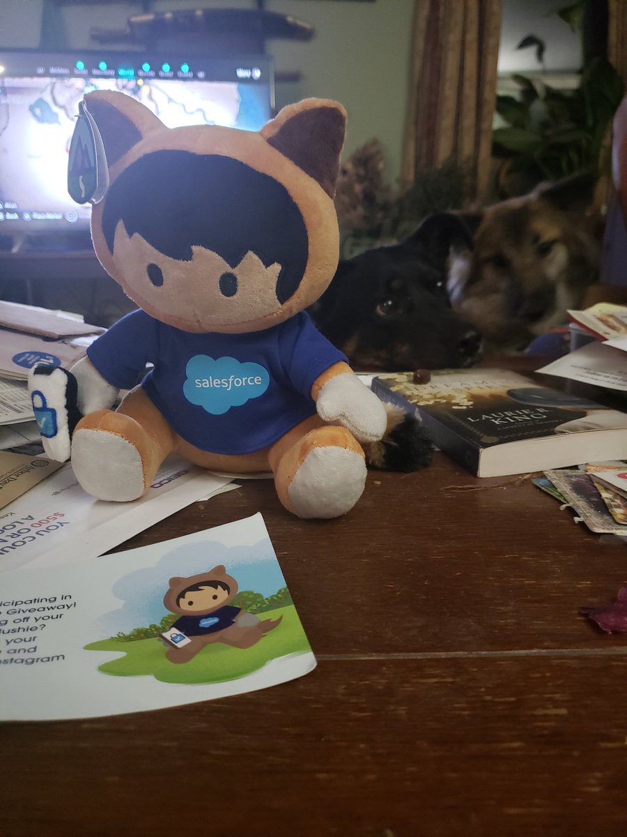 JessicaHabblett's tweet image. Surprise! MFA Astro plushie arrived today. The dogs are very upset that this is not a dog toy. #MFANow