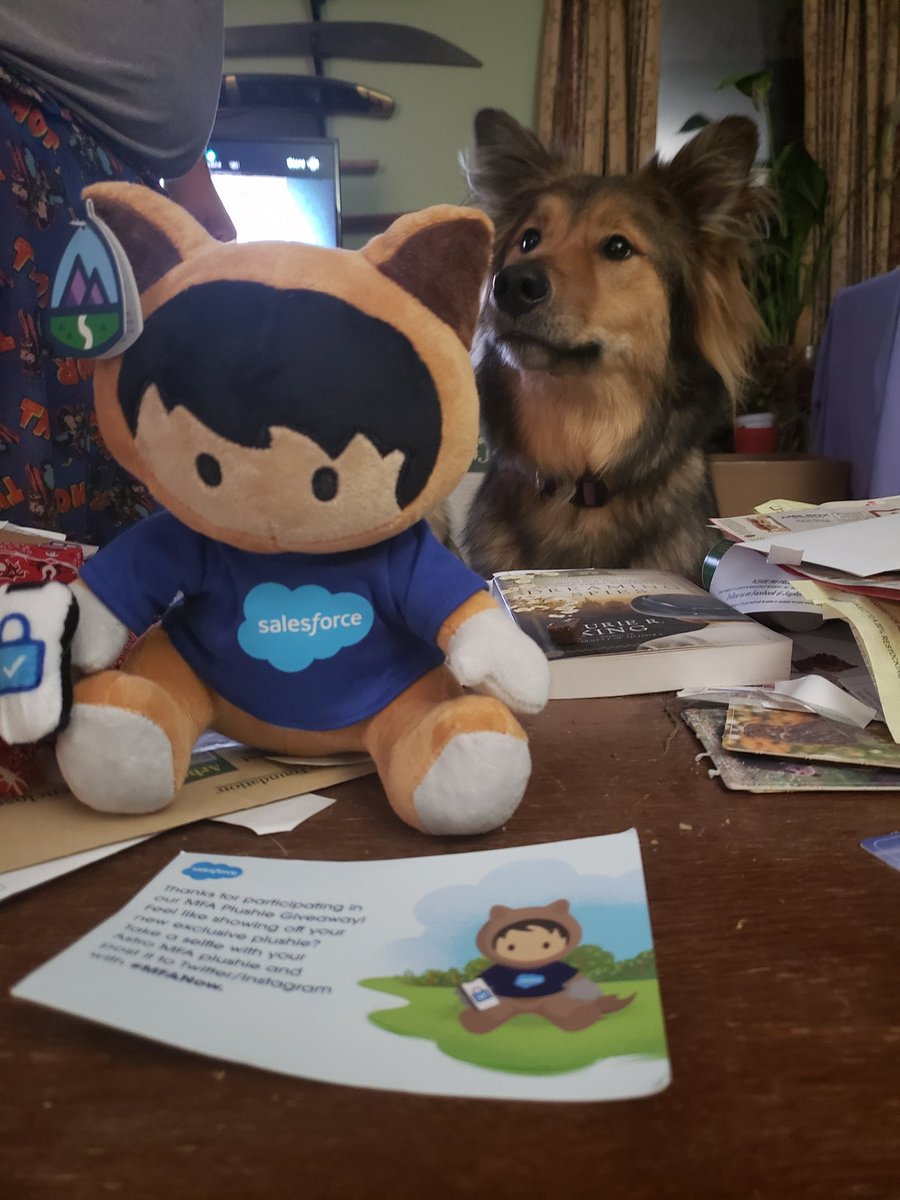 JessicaHabblett's tweet image. Surprise! MFA Astro plushie arrived today. The dogs are very upset that this is not a dog toy. #MFANow