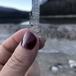 ツイートに含まれる画像