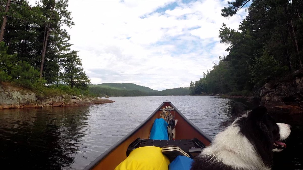 UpNorthMatt1's tweet photo. Wolf Lake 2020!  Finally got my latest video finished...check it out on YouTube!

https://t.co/MKM4p65CJn
.
.
#upnorthmatt
#solocamping #campingwithdogs #adventurer #youtube #youtuber #savewolflake #bushcraft #camping #hammockcamping #solopaddle #bordercollie https://t.co/f9BZ1D9m7l
