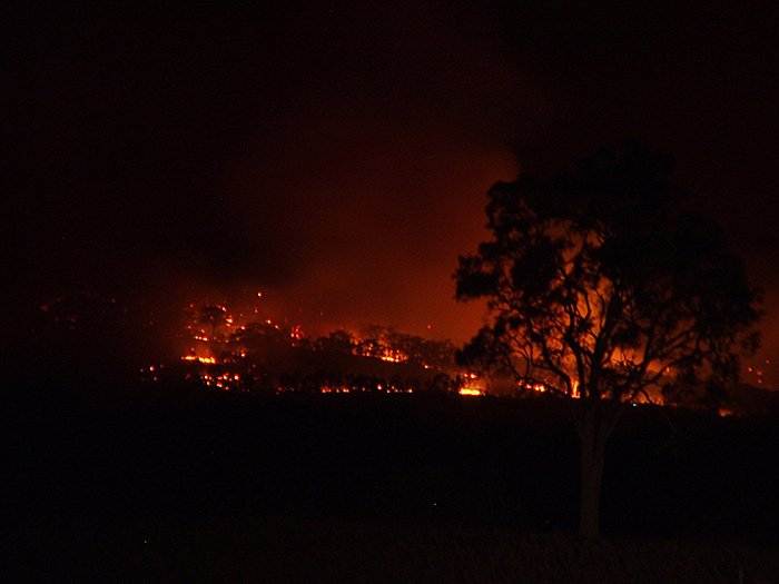 And every night for the first few weeks, we watched the Newstead hills burn.It was almost Thanksgiving and nearly Advent. I thought: I am about to get some real lessons in giving thanks and welcoming Christmas.