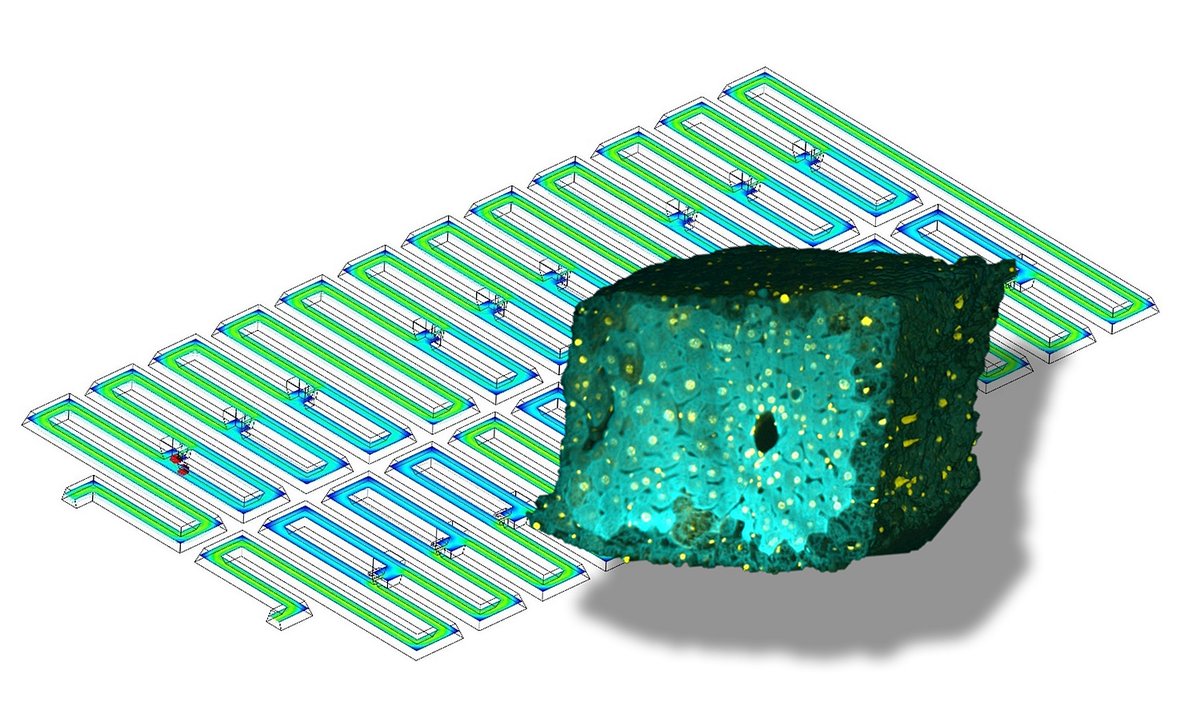 Folch Lab tweet media