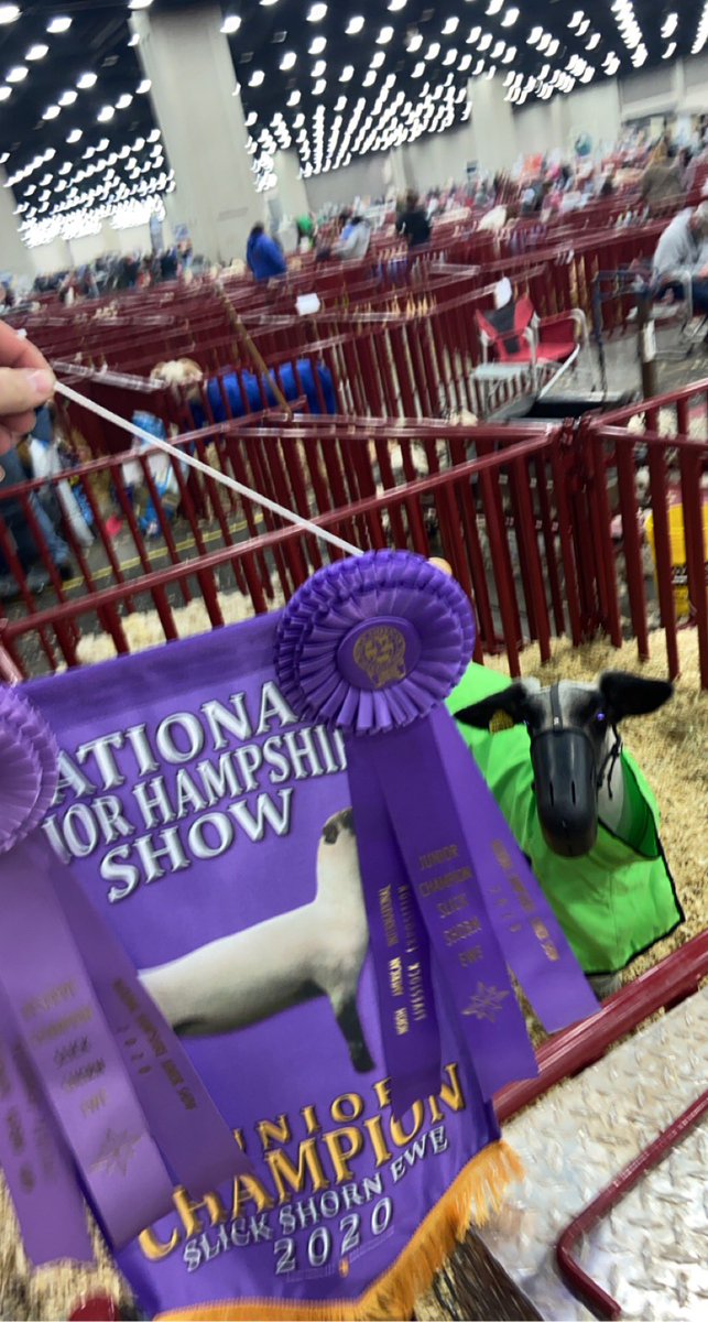 thegarrettboone's tweet image. we done did the damn thing today boys.