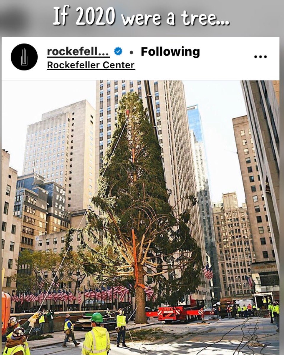 DiChiTeaches's tweet photo. #if2020wereatree it would look like this. #rockafeller has a lot of filling to do on this one.. #sadtree #2020isamess #isitjanuaryyet!? https://t.co/KMCRg4ygiZ