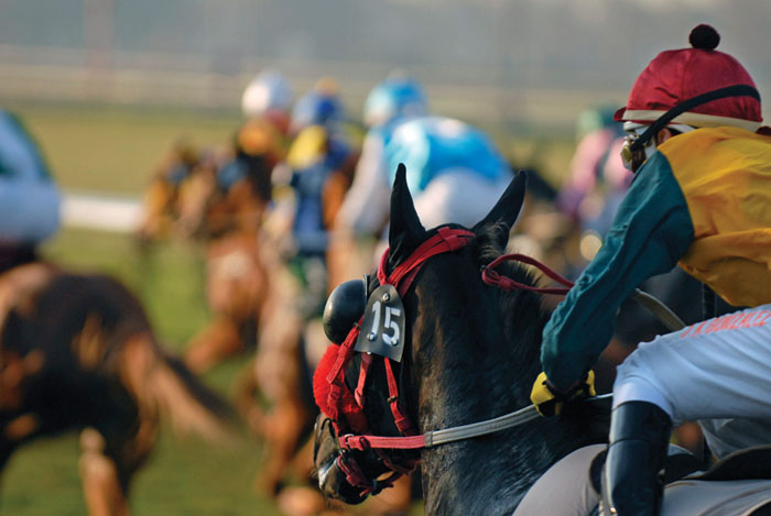 Ya pueden ver los pronósticos del portal para el <a href="/ClubHipico_Stgo/">ClubHipico_Stgo</a> de este domingo ingresando en:
deportereyydereyes.cl/wp-content/upl…