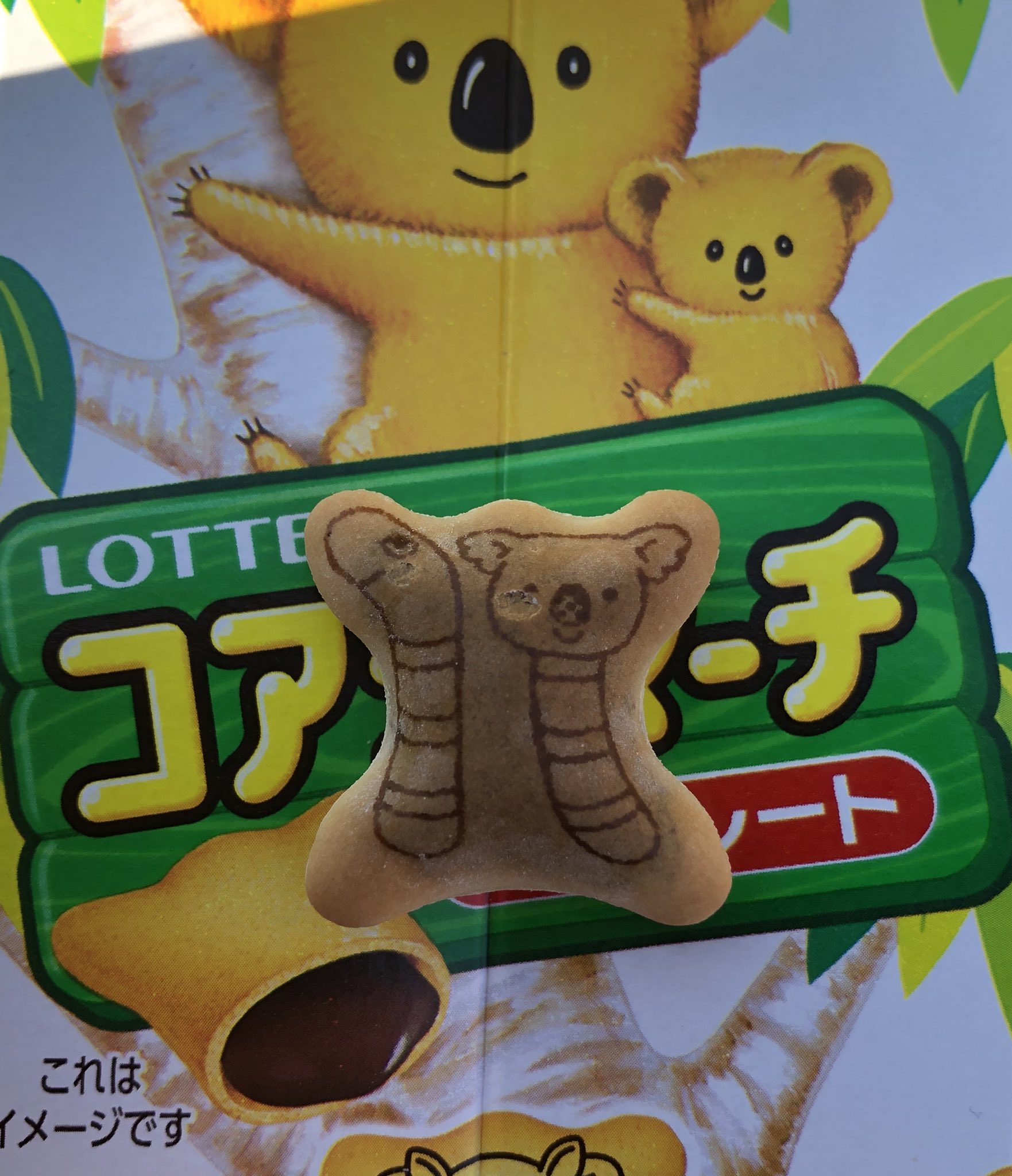 レイ Reii0303 Twitter