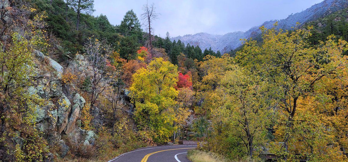 LShelton65's tweet photo. First #snow of the #season on #mtgraham #pinaleñomountains in Southern #Arizona #weather #clouds #explore #adventure see the rest of the beautiful pics here..
https://t.co/jiZlyisLiH https://t.co/gGvmcAlFG8