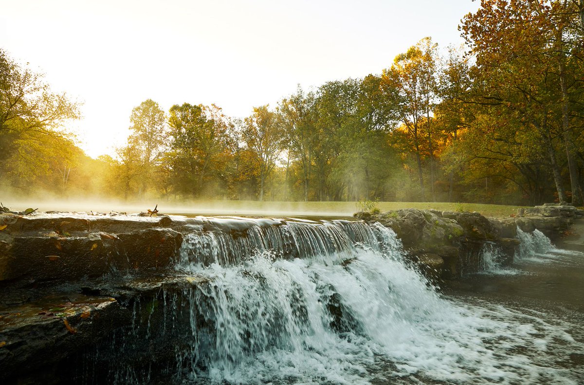 Dogwood_Canyon's tweet image. "Look deep into nature, and then you will understand everything better." –Albert Einstein