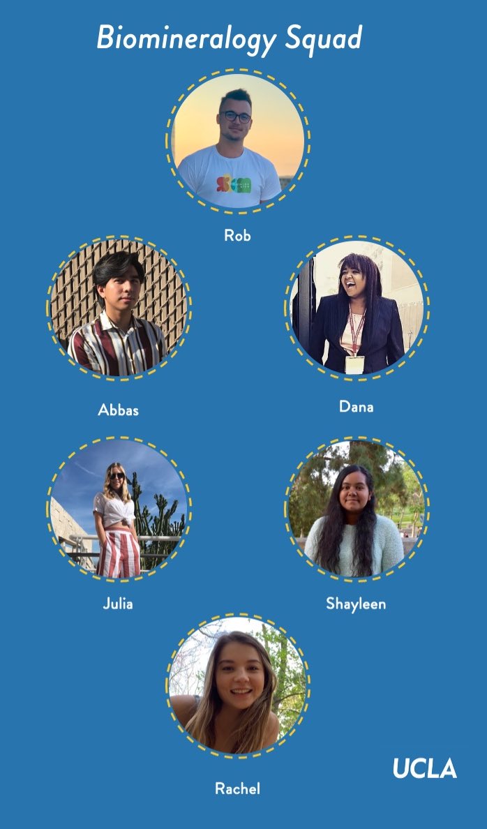 robertnulrich's tweet photo. Open for #WholeSTEM content since we couldn’t get a group photo before COVID.
You can read more about the students working with me at https://t.co/4I8VadJtZH https://t.co/b71r1JtyMf
