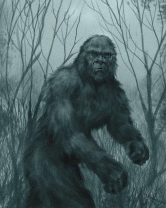 CreatureCounty's tweet photo. Spotted outside of town... could Bigfoot be here in Mercer??? 👀👀👀 https://t.co/Co4DRTQCO5