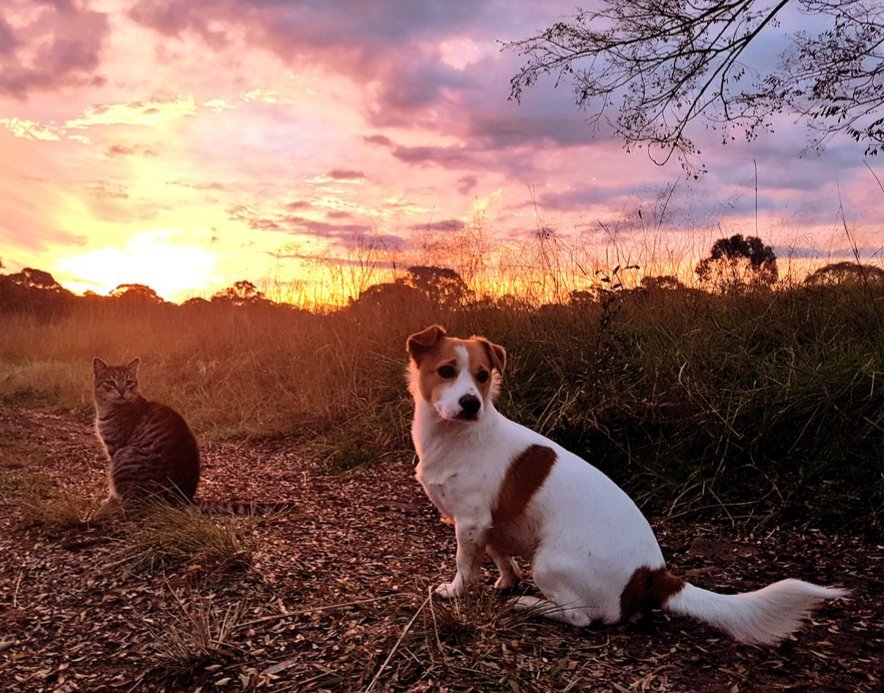 We've seen things end & begin & heartaches reconciled.We look back & know that we were clumsy & slow to learn to love where we had been gifted to live.But we're grateful. For all of it.
