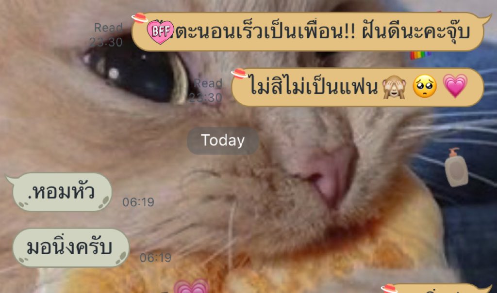 แอคขิงไอ้ควาย🍞🐃💗 tweet media
