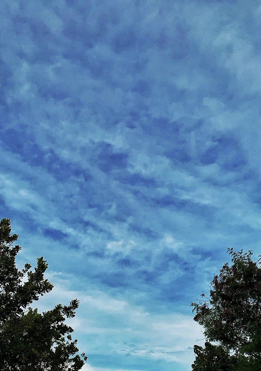 Bit of blue sky 
#goodmorning