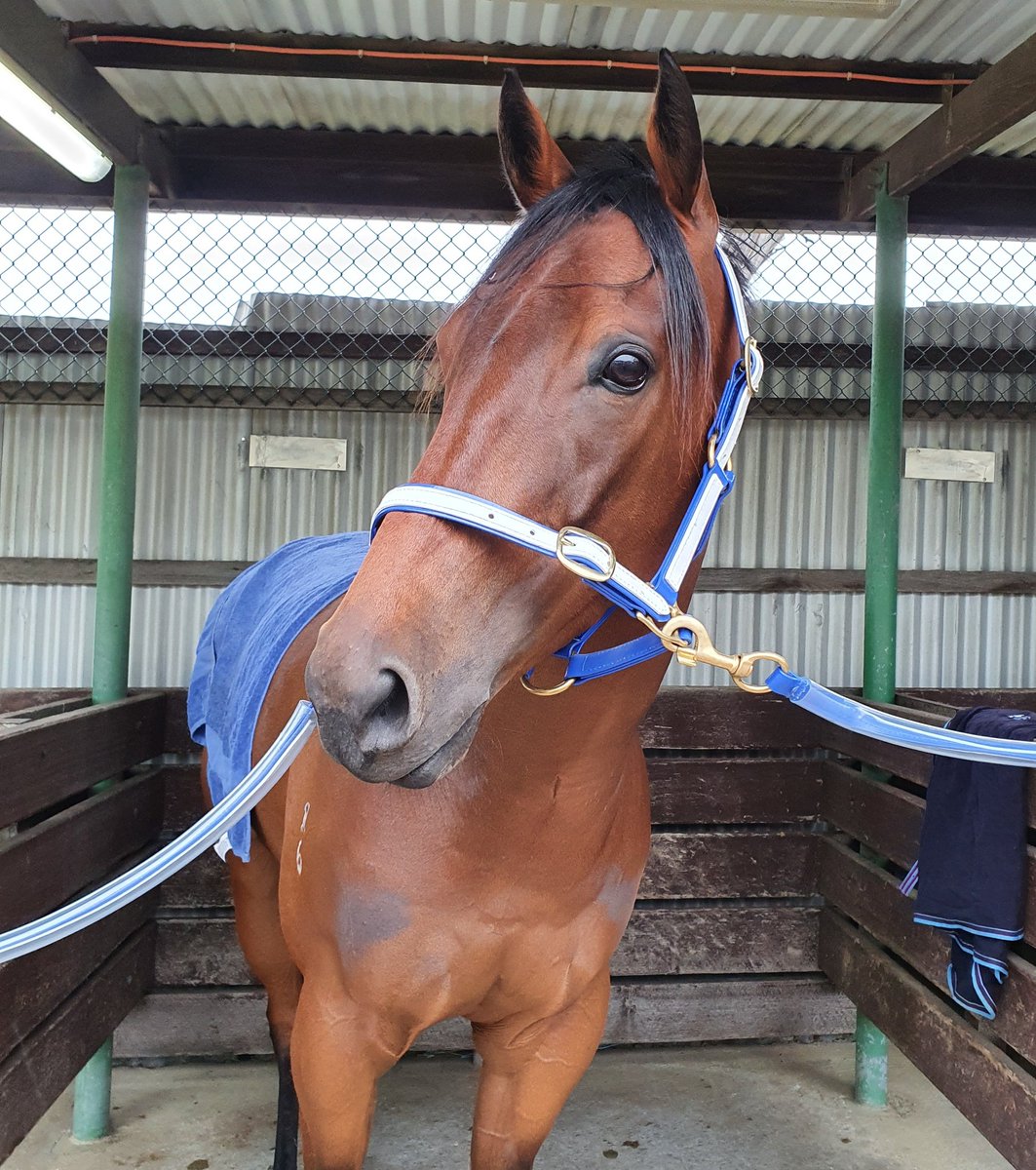 Coronation Doris, the sole runner for the camp today in Hobart, is thankful for the shelter . CAUSE ITS RAINING AT ELWICK!!!