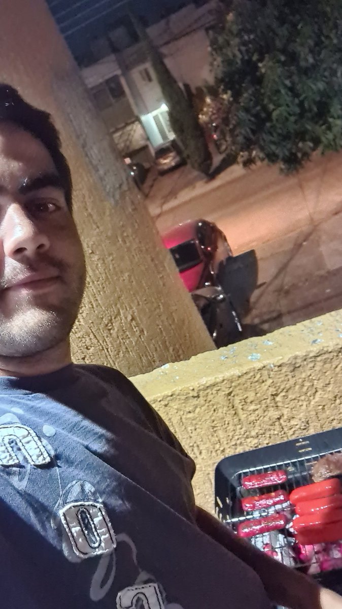 Nicolás Studer tweet media