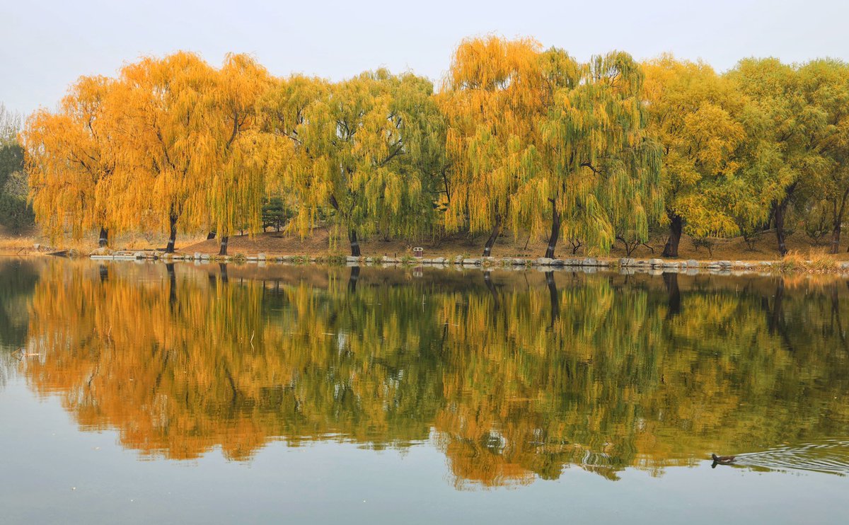 FcameraT's tweet photo. The old summer palace which destroyed by English and French. https://t.co/C9eIEzMnPr