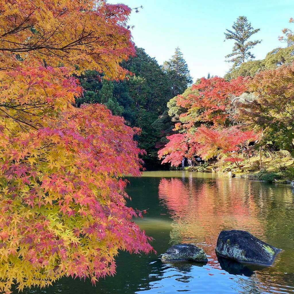 成田リポート on Twitter: "成田山公園をお散歩！ 気持ちよかった☺️ 紅葉も見頃です🍁 #成田リポート #成田 #narita #新勝寺  ＃成田山 #紅葉 紅葉狩り https://t.co/8Wp7U1FmbA" / Twitter