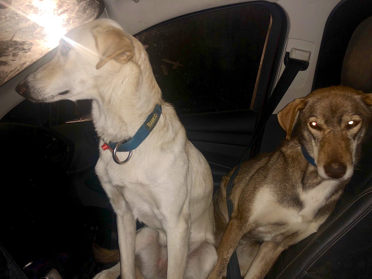 when you both called shotgun