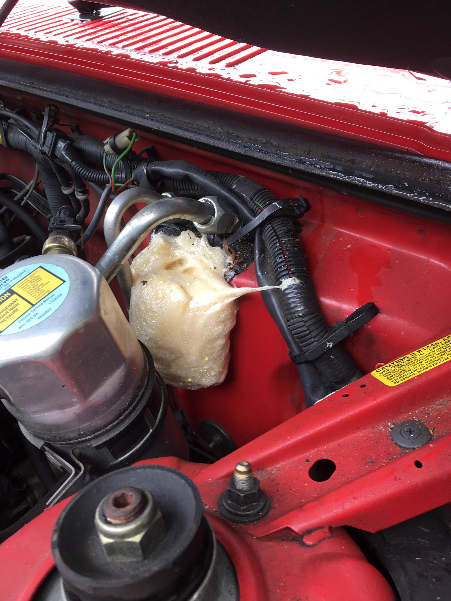 @aru_aru_iita_i @AichiFK414 あるある 