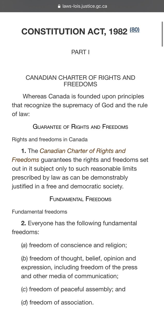 37.And ‘women’ — as a class of persons —have ‘sex-based rights’ as guaranteed in our Canadian Charter of Rights and Freedoms. @MinJusticeEn  @RobMoore_CPC  @Chris_Bittle  @BobBratina  @jimcarr_wpg  @SeanCaseyLPC  @Shaun_Chen Lyne.Bessette@parl.gc.ca Elisabeth.Briere@parl.gc.ca