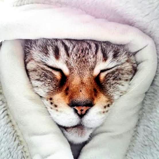 さんかく窓の暗号 Hotワード