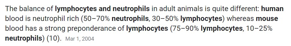 Humans generally have more neutrophils than lymphocytes, because our height means that we are more susceptible to air-borne illnesses & bacteria rather than earth-born illnesses & bacteria.Mice are just the opposite, for obvious reasons.