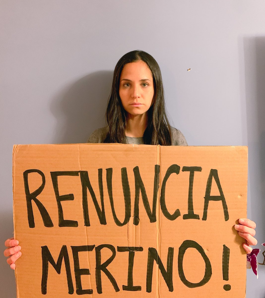 sigridbazan's tweet photo. Todos, desde las calles o en sus casas, nos sumamos a una sola voz: ¡RENUNCIA MERINO! #RenunciaMerino #Dictadura https://t.co/BJO53I3yrA