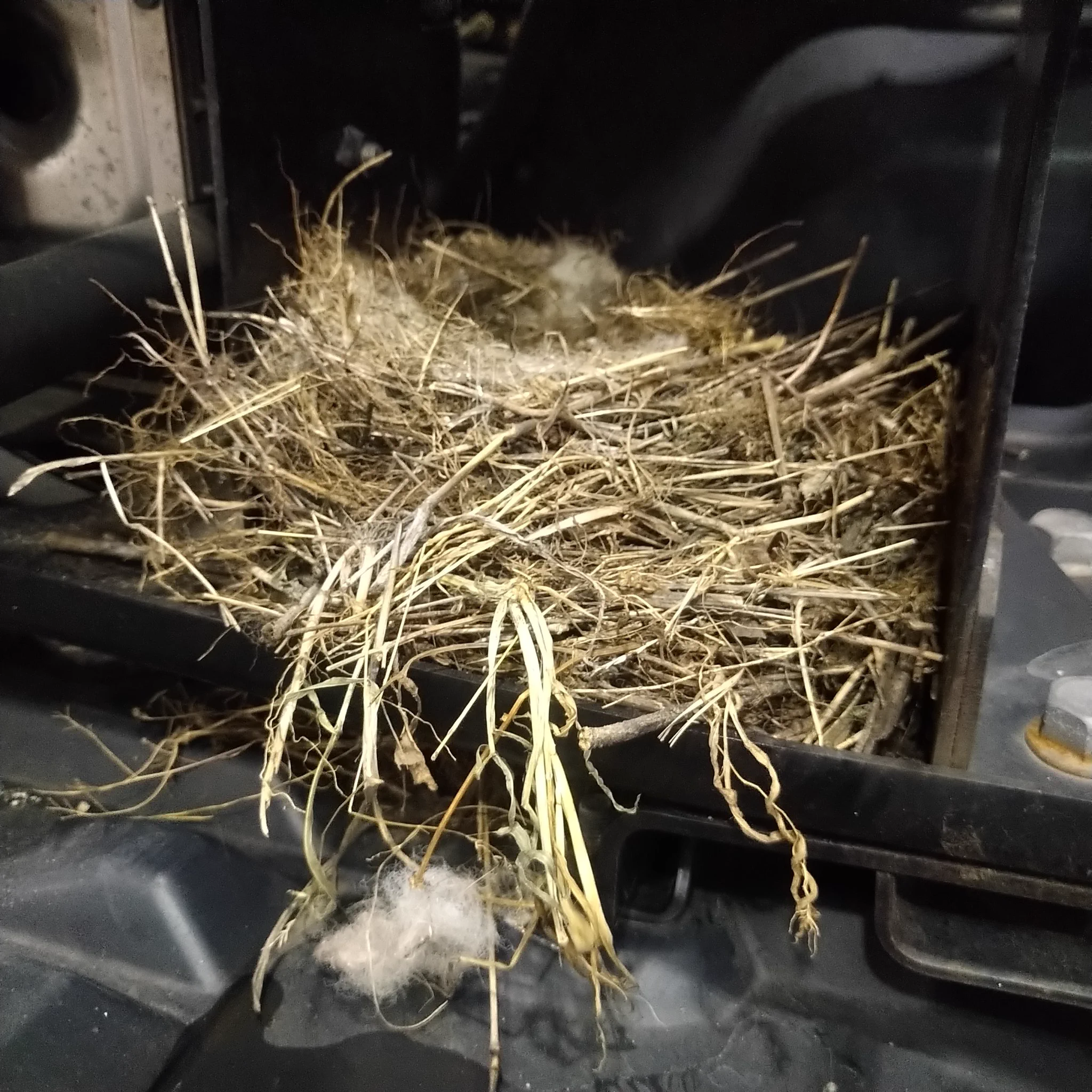 @aru_aru_iita_i キャブ上げたら家ありましたね 