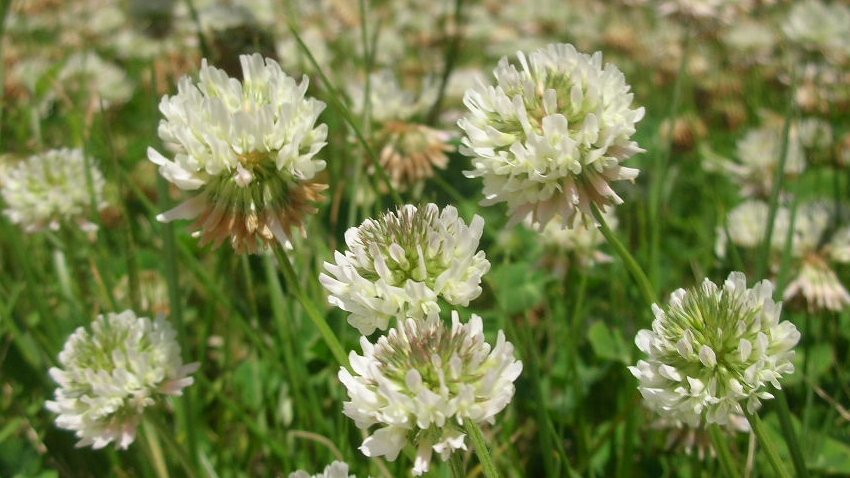 kamisama_kotoba's tweet image. The light I felt in my childhood was genuine.

子供時代感じた光が本物
#childhood #幼い頃