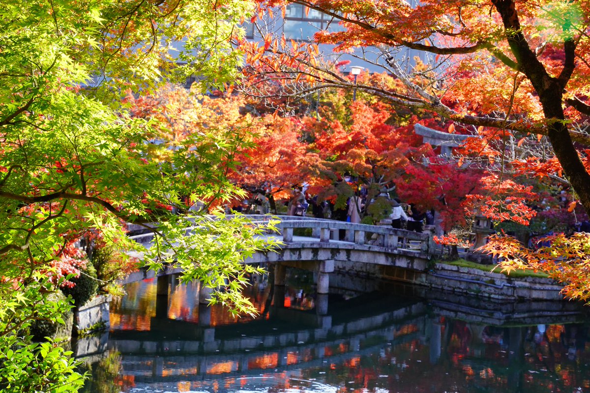 秋の風景 Twitter Search