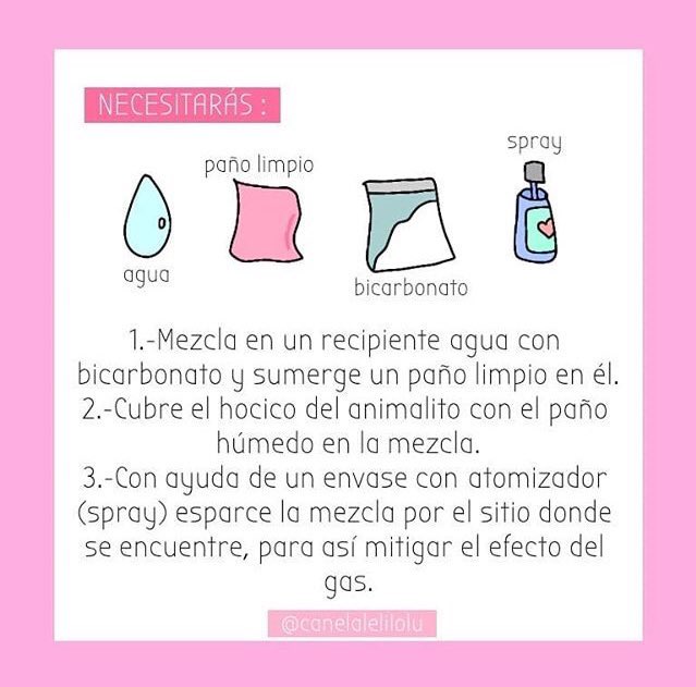 milysaurius's tweet photo. ‼️‼️COMO AYUDAR A LOS ANIMALES DE LA CALLE‼️‼️ https://t.co/vBe6M1sBSP