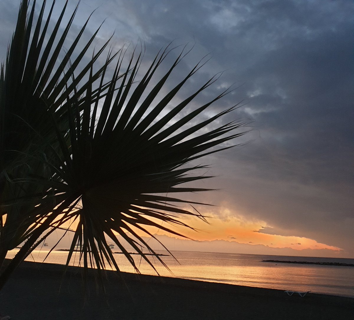 charli_says's tweet photo. My clarity is strongest at first light. Not muddied by the hazy fog and its chasm of voices. The red tide is here. Everything is truth. ππβ€
#sunrise #sunrisephotography #sundayessentials #SundayThoughts #charlisays #writingcommunity #amwriting #writerslife #beach https://t.co/vp34yVu2Vw